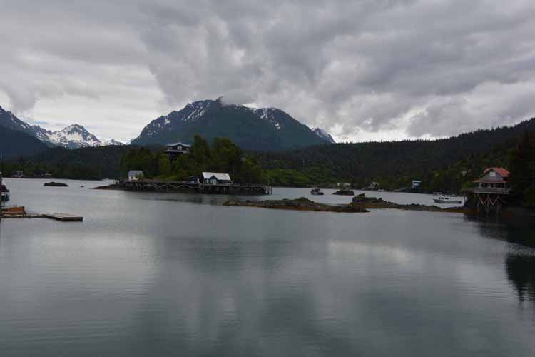 homes at halibut cove
